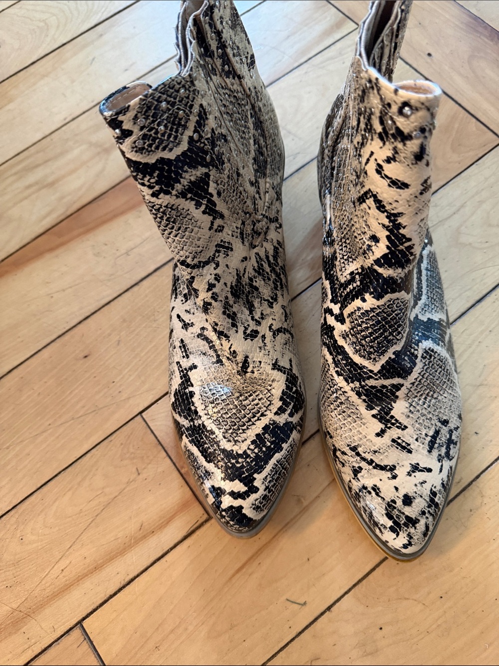 Chase + Chloe Black and Beige Snake-Print Pointed Ankle Boots